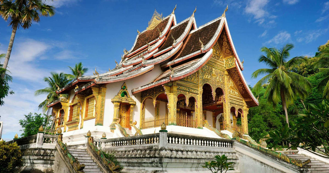 Golden temple at Luang Prabang, Laos, surrounded by palm trees under a bright blue sky