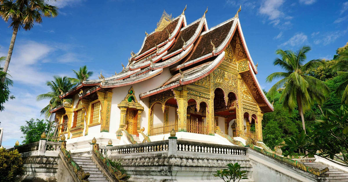 Golden temple at Luang Prabang, Laos, surrounded by palm trees under a bright blue sky