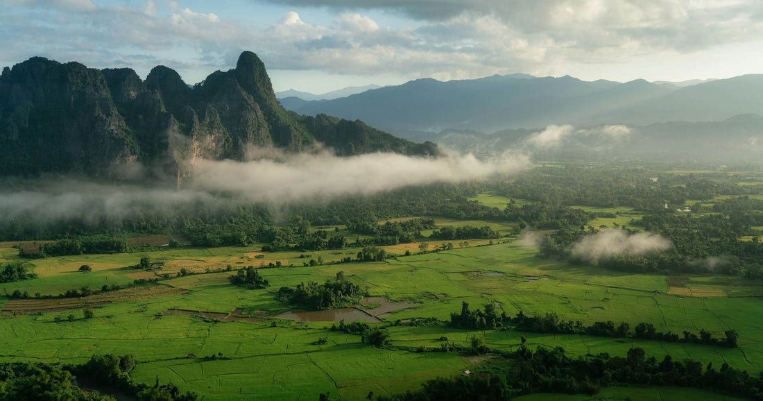 Misty limestone peaks above green rice fields in the Vang Vieng valley, Laos