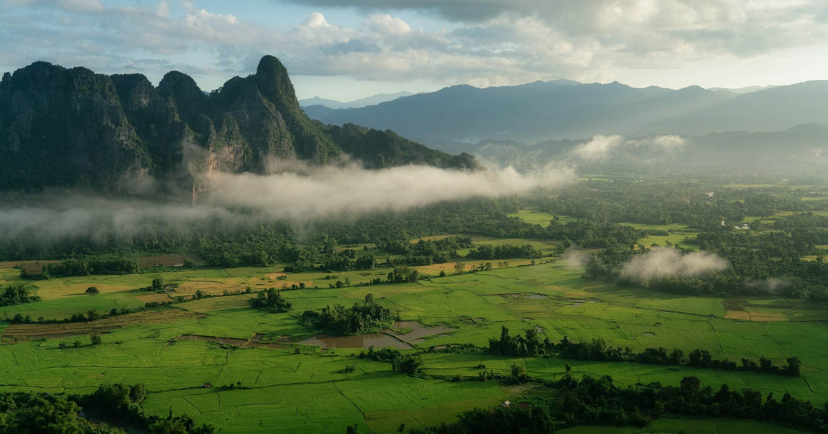 Misty limestone peaks above green rice fields in the Vang Vieng valley, Laos